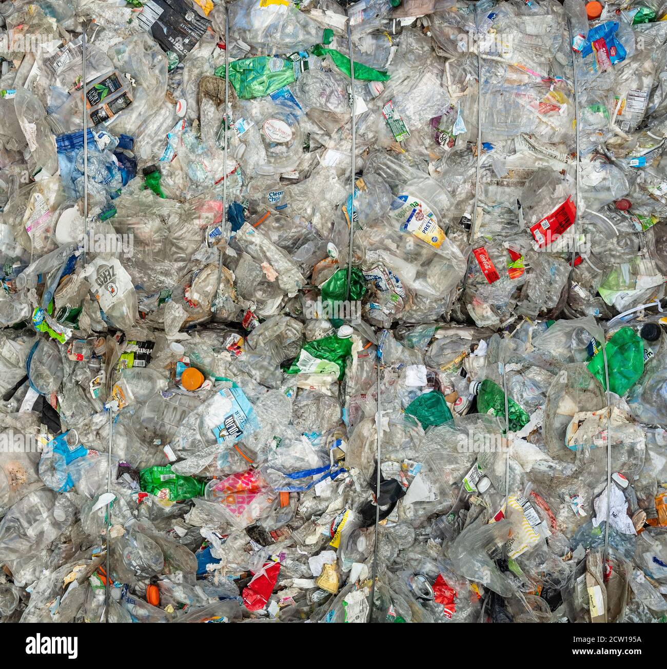 Bündel von zerdrückten Plastikflaschen, die zum Recycling transportiert werden, New Jersey, USA Stockfoto