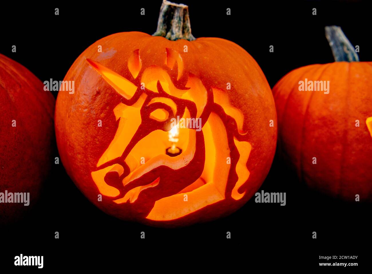 Eine Kürbisschale wird als Kerzenschein-Halter gesehen.die Dutch Championship Growing Pumpkin 2020 im Botanischen Garten im Utrecht Science Park findet am 26. September statt. Stockfoto