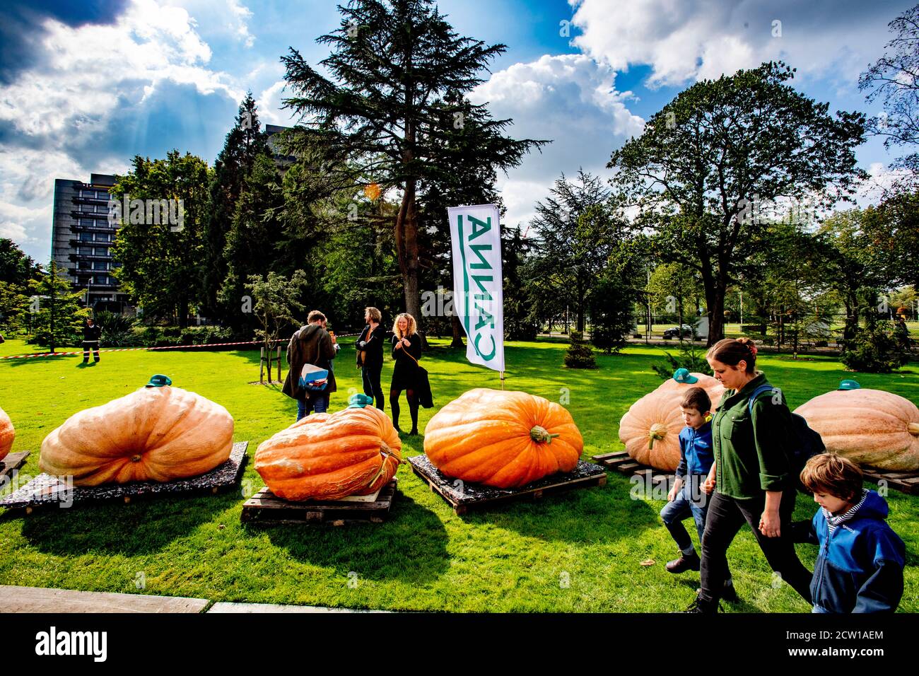 Eine Frau und ihre Kinder gehen während des Championats Growing Pumpkin Events mit vielen riesigen Kürbissen am Park vorbei.die Dutch Championship Growing Pumpkin 2020 im Botanischen Garten im Utrecht Science Park findet am 26. September statt. Stockfoto