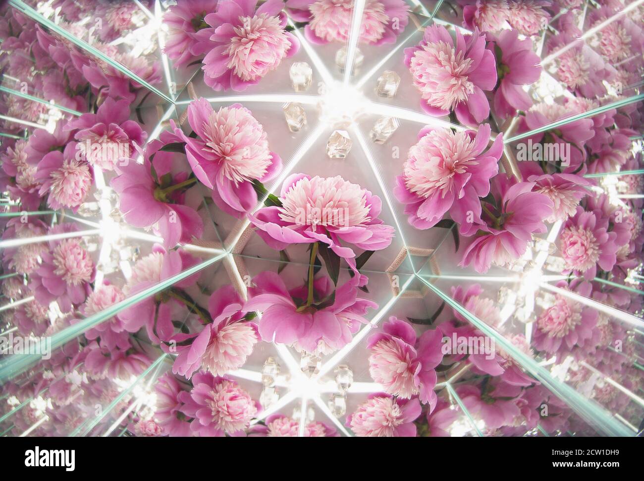 Eine Fotografie von Rose Pfingstrosen Blumen in Kaleidoskop Spiegel Reflexion Stil Hintergrund auf weißem Marmor Textur. Für natürliche, luxuriöse und unkonventionelle Stockfoto