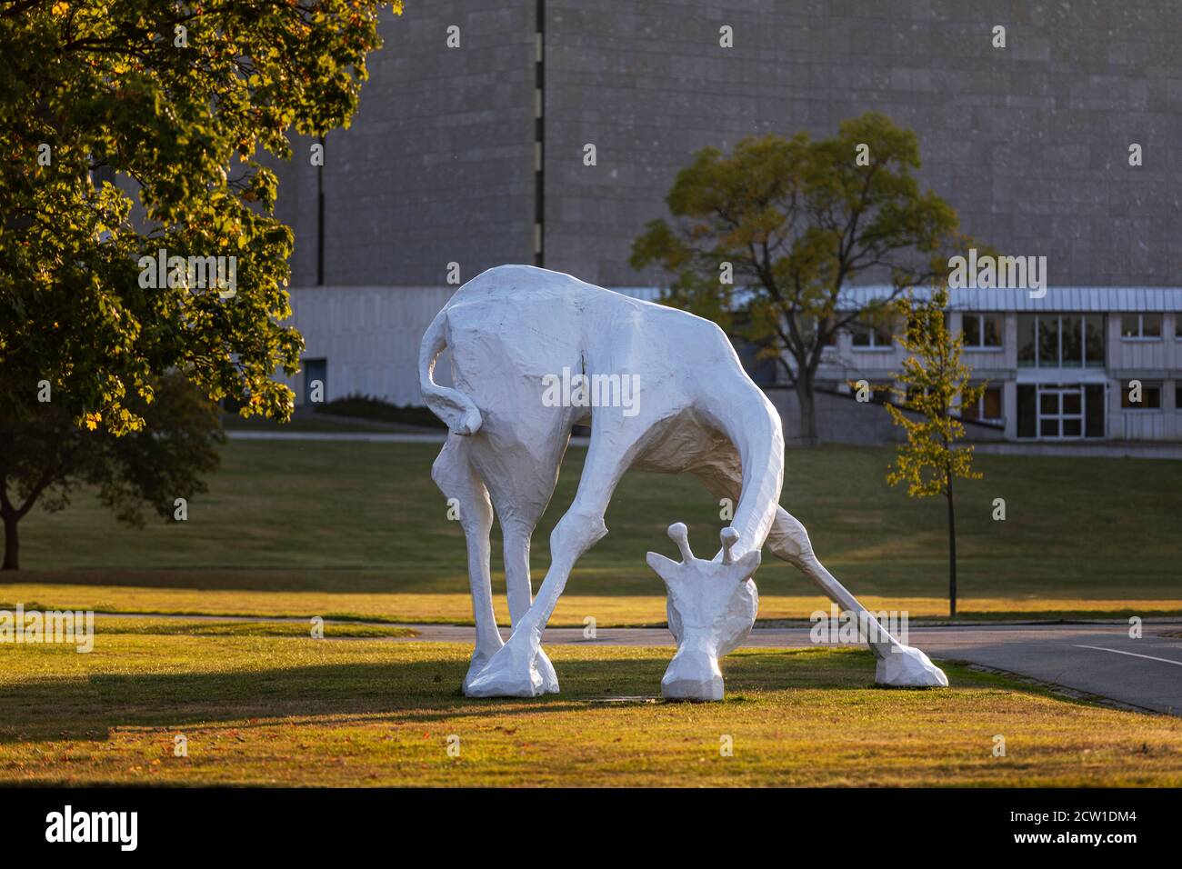 Die große weiße Giraffe ist ein Wahrzeichen der Stadt Wolfsburg in Deutschland. Das Art Peace Hotel liegt neben der Zufahrtsstraße zur Stadt und es ist schwer zu verpassen. Stockfoto