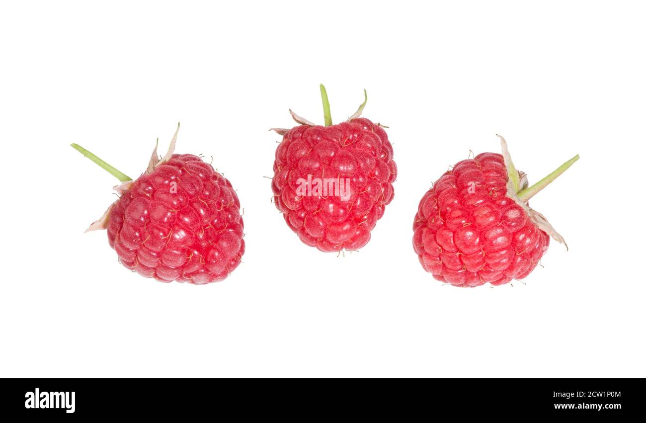Himbeere isoliert auf weißem Hintergrund. Reife Rote Himbeeren Früchte. Sammlung. Makro. Stockfoto