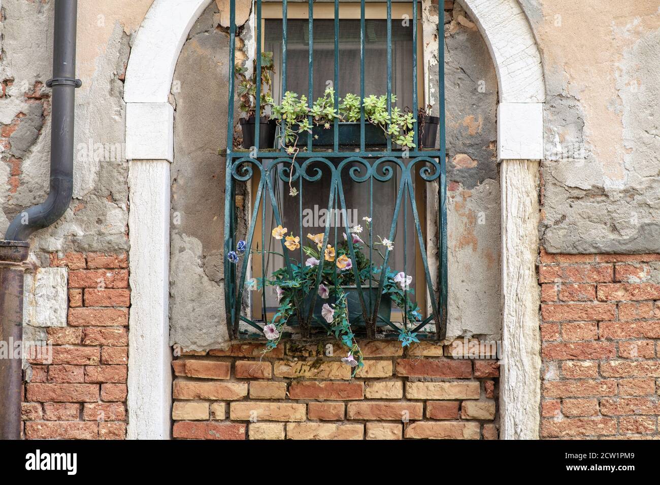 Fenster eines alten Hauses in Venedig Italien Stockfoto