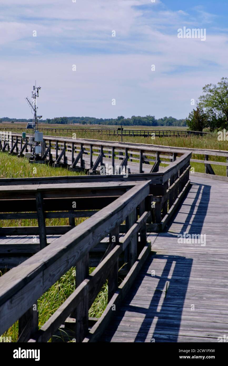 Holzsteg durch den St. Jones Reserve Trail. Das Reservat ist ein Salzwasser-Sumpfgebiet in der Nähe von Dover, Delaware, USA. Stockfoto