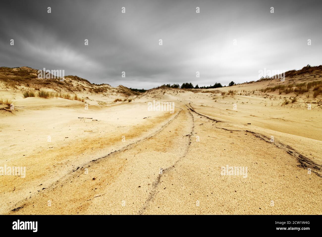 Weite Sandfläche mit teilweise überwucherten Dünen im Hintergrund, markante Linien als Augenführung, Bewegungsspuren der Wolken durch Langzeitbelichtung Stockfoto