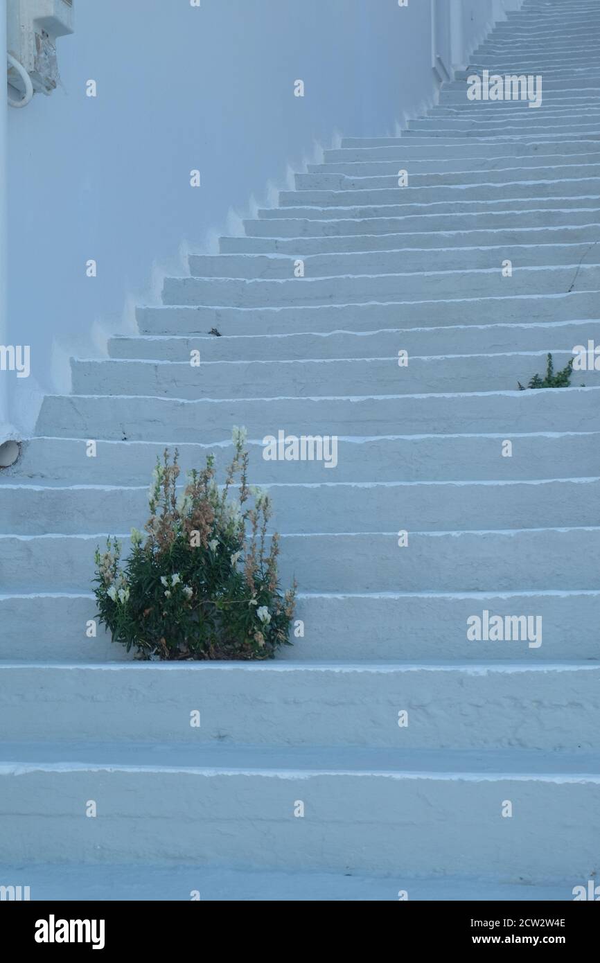 Weiß getünchte Treppe in Chora auf der schönen griechischen Insel Astypalea Stockfoto