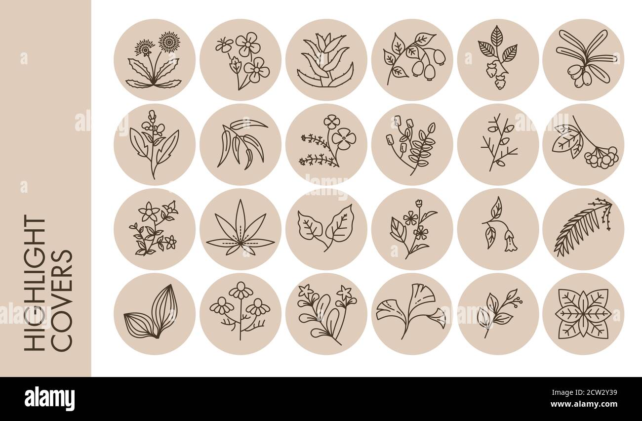 Highlights umfasst florale Ornamente, Kräuter und Blumen im Kreis Stock Vektor