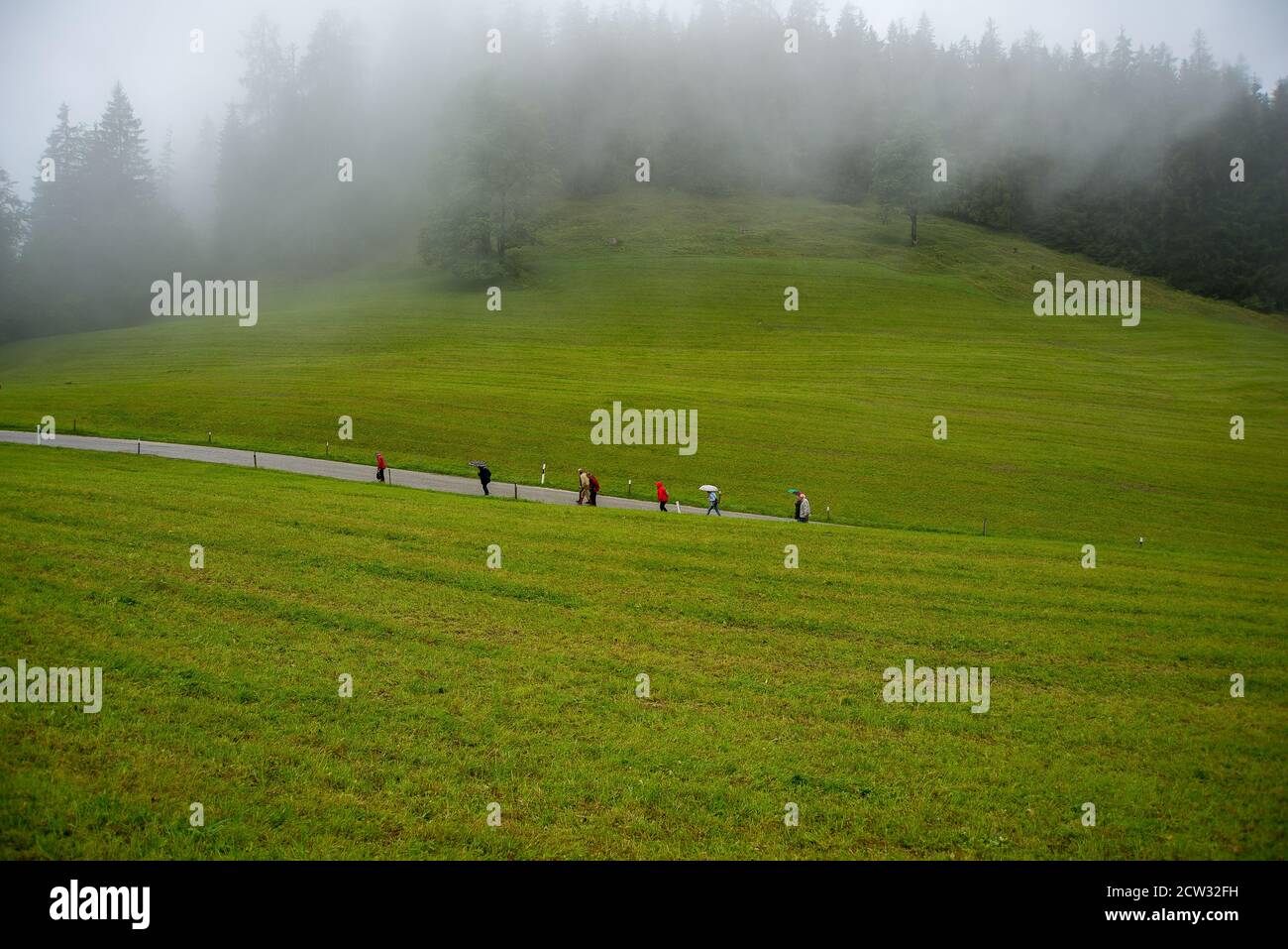 Eine Gruppe von Touristen gehen auf einer Straße durch ein almwiese auf dem Weg zum Bus Stockfoto