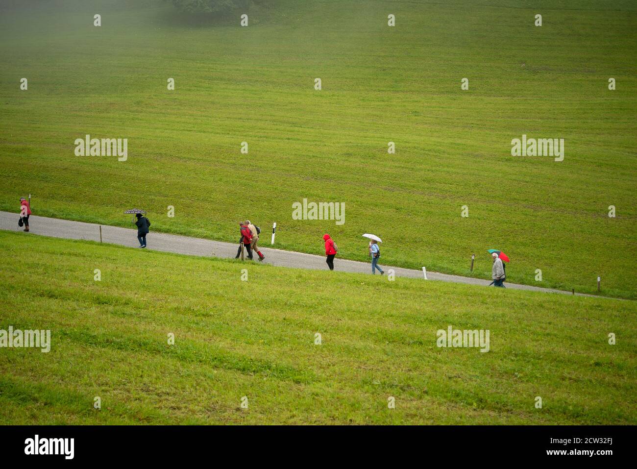 Eine Gruppe von Touristen gehen auf einer Straße durch ein almwiese auf dem Weg zum Bus Stockfoto
