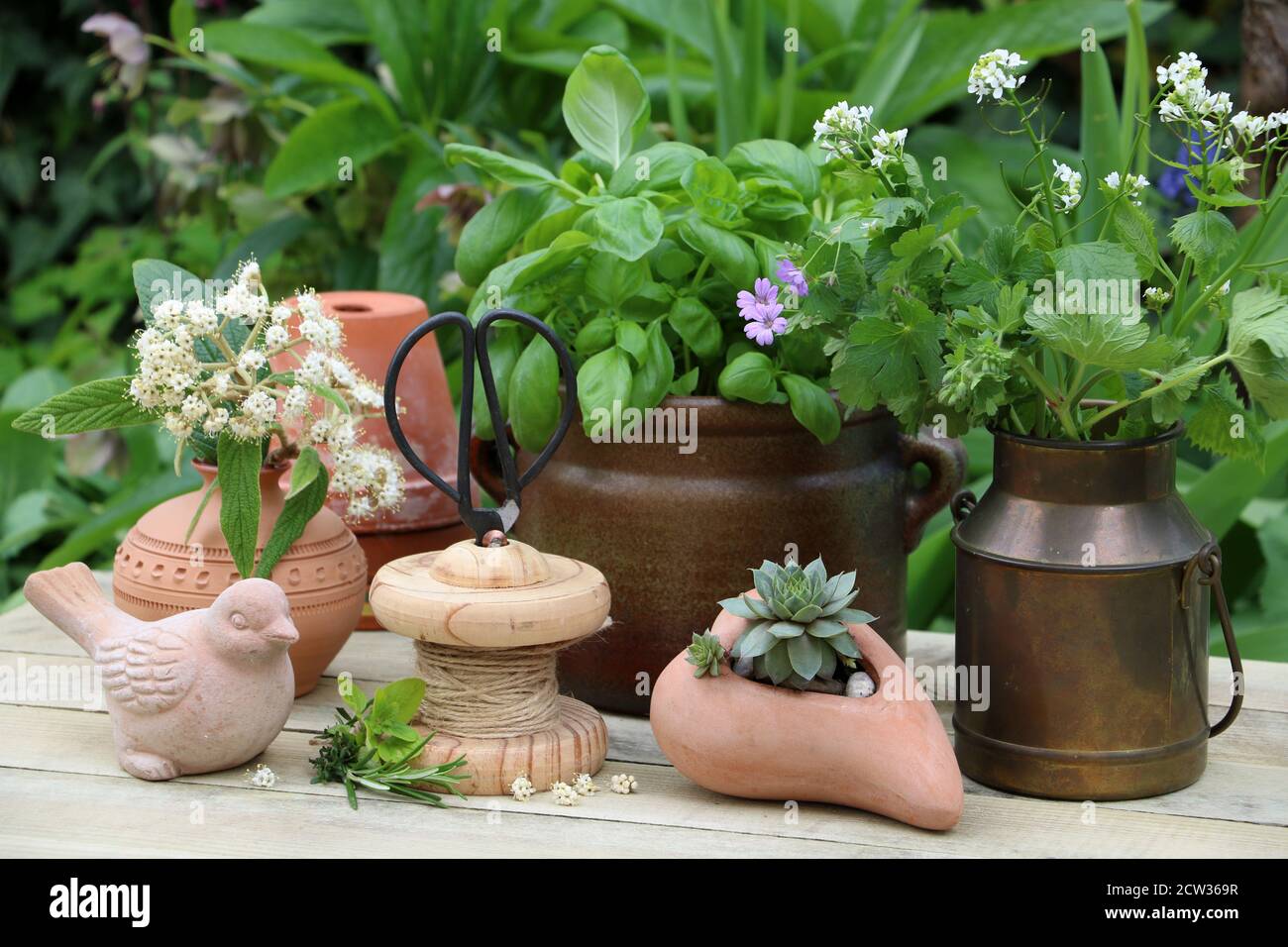 Gartentisch mit Basilikum in rustikalem Topf und Terrakotta-Vogel Stockfoto