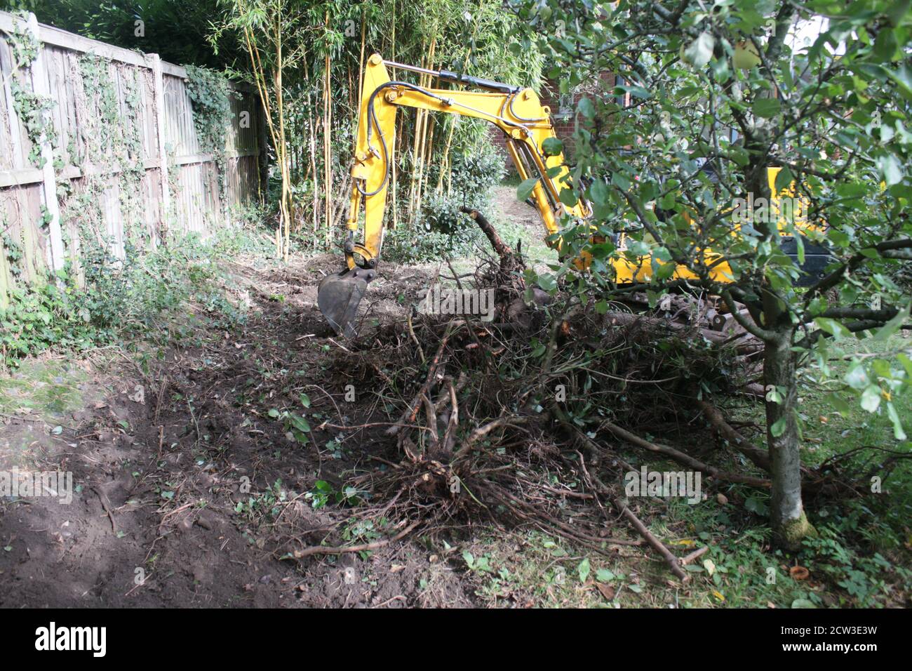 Gelbe Bagger schwere Motor-Maschinen mit Grabarm bewegen Erde, neu Landschaftsbau einen organischen Garten Rasen Obstgarten Bereich bewegen Boden für Ebenen Boden Stockfoto