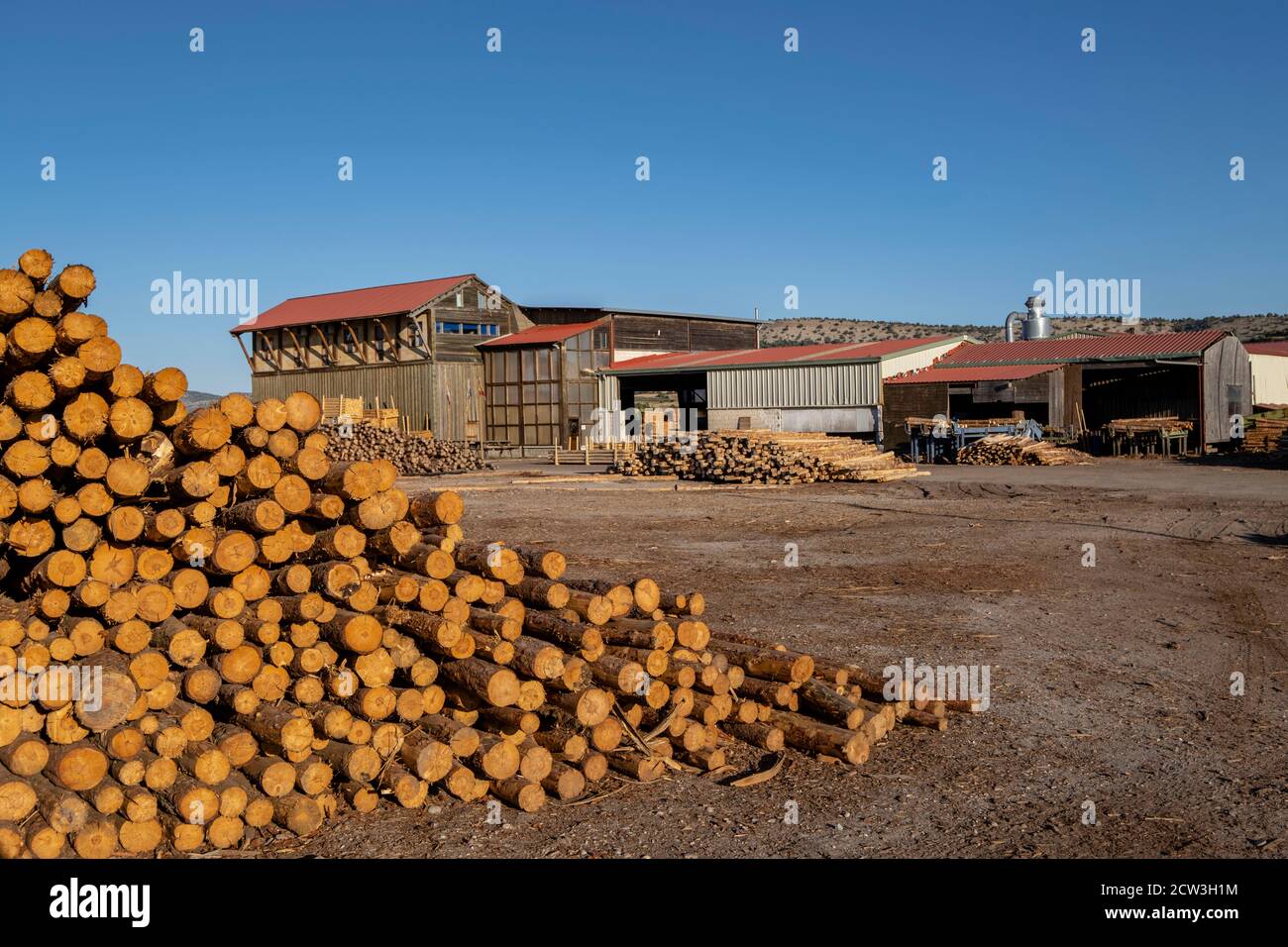 industria de la madera, Cabrejas del Pinar, Soria, Comunidad Autónoma de Castilla, Spanien, Europa Stockfoto