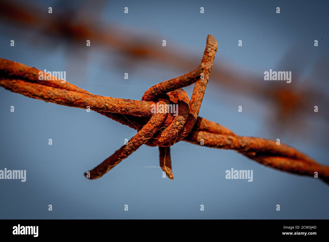 Eine Nahaufnahme eines rostigen Stacheldrahtes Stockfoto