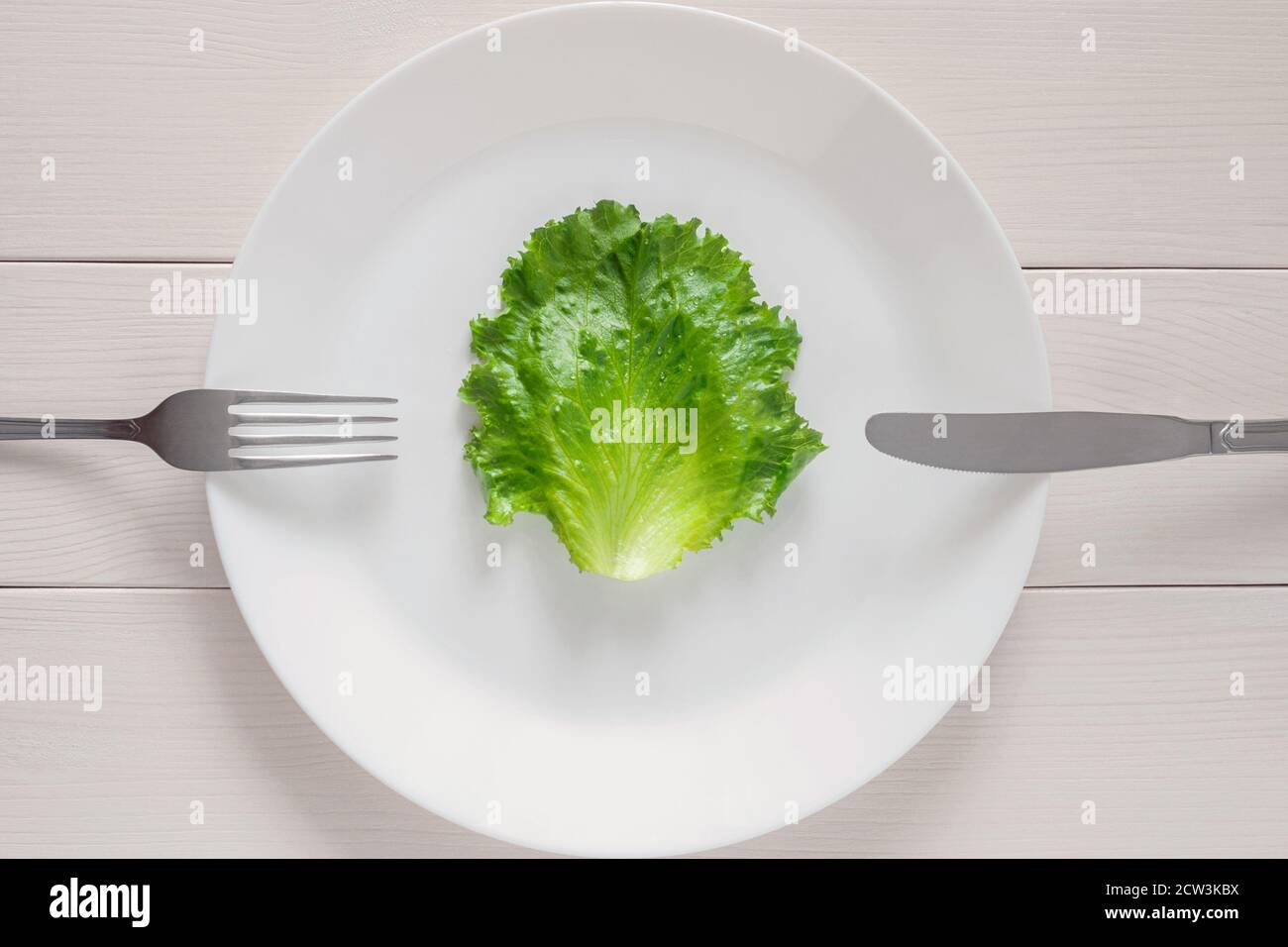 Blattsalat auf weißem Teller mit Gabel und Messer, Mono-Diät für die Gewichtsabnahme Stockfoto