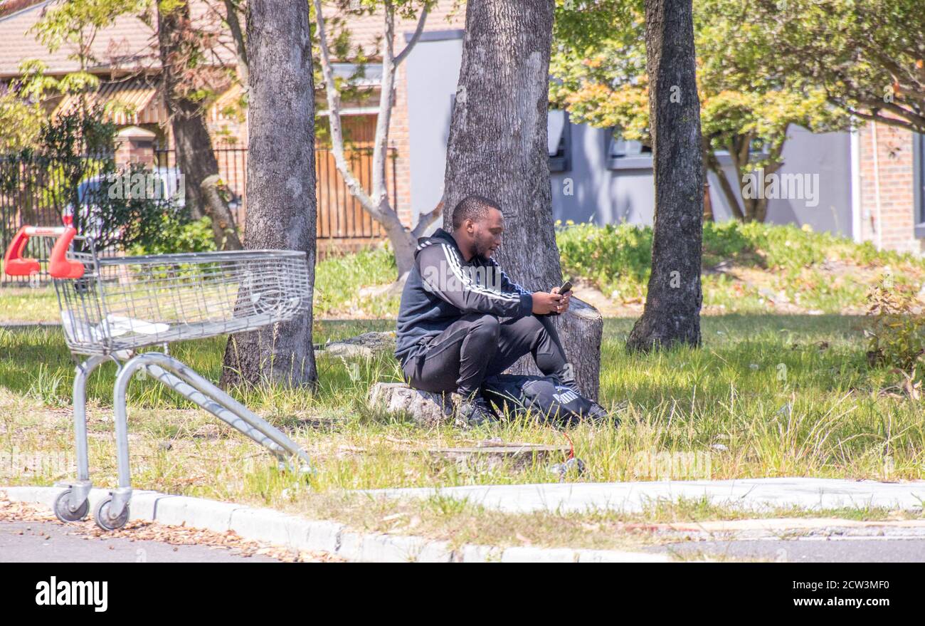 kapstadt, Südafrika - ein nicht identifizierter Obdachloser sitzt unter einem Baum neben einem Einkaufswagen Stockfoto