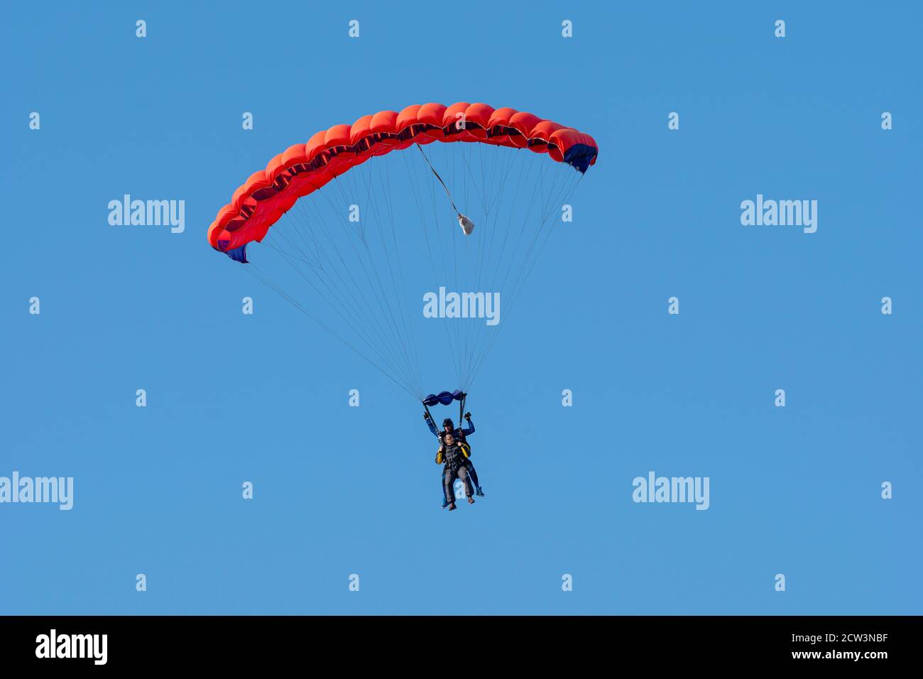 Tandem Fallschirm springen. Silhouette des Fallschirmspringer fliegen in blau klaren Himmel. Konzepte von Extremsport und Adrenalin. Stockfoto