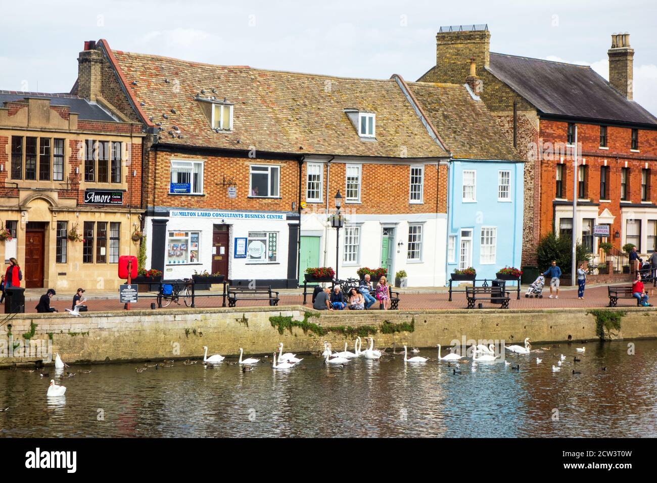 Kai und Schwäne auf dem Fluss große Ouse in St. Ives Cambridgeshire England Stockfoto