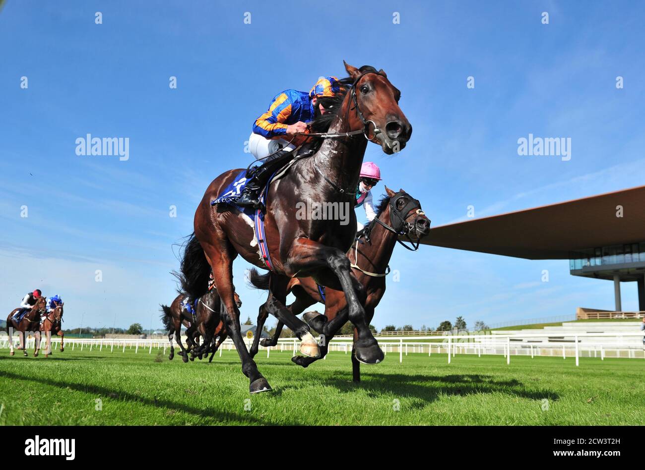 Van Gogh unter Jockey Seamie Heffernan gewinnt den Irish Hengst Farms EBF Maiden am zweiten Tag des Herbstfestivals auf der Curragh Racecourse. Stockfoto