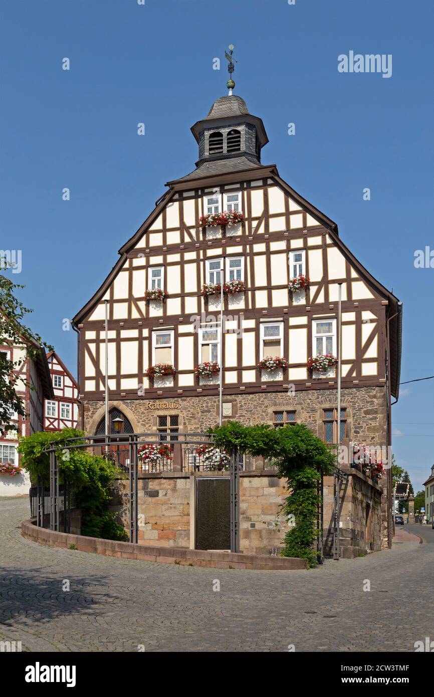 Rathaus, Homberg (Efze), Hessen, Deutschland Stockfoto