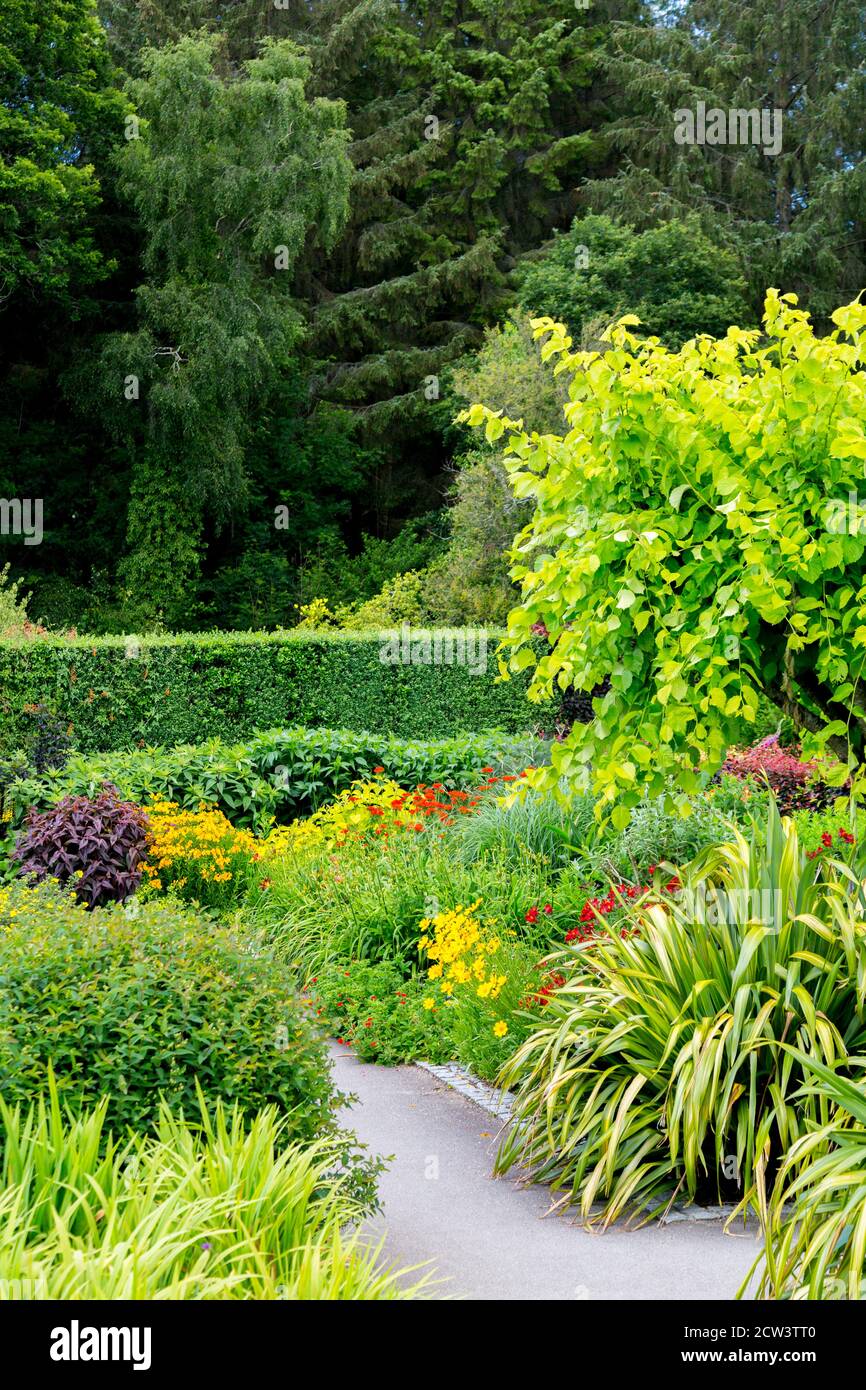 Farbenfrohe Sommer krautige Grenzen im Hot Garden im RHS Rosemoor, Great Torrington, Devon, England, Großbritannien Stockfoto