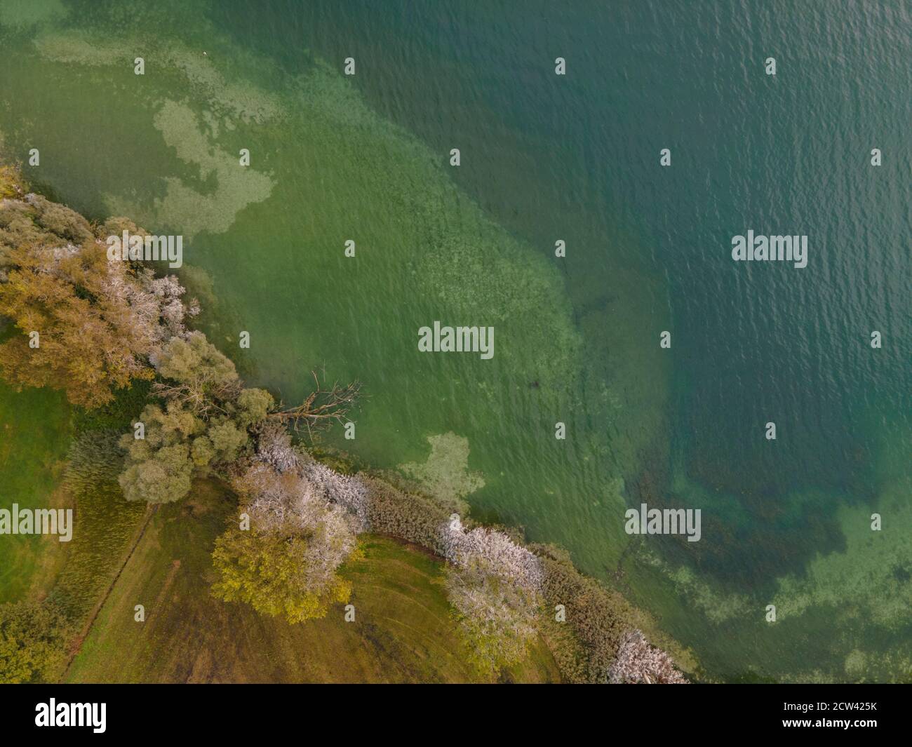 Drohne erschossen. Vogelblick auf klaren See mit Bäumen und Gebäuden Stockfoto