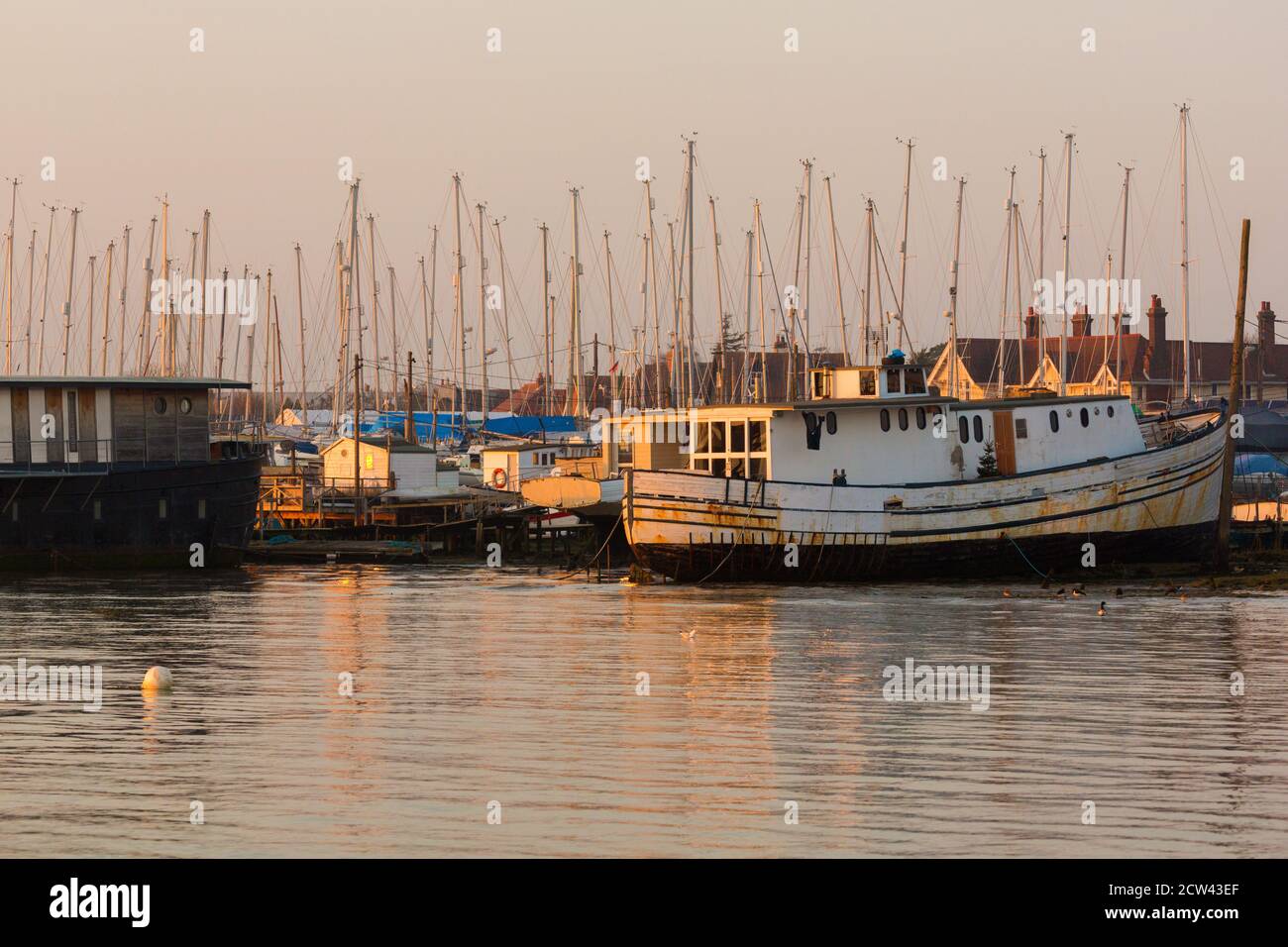 Boote an der Küste von West Mersea, Essex, Großbritannien Stockfoto
