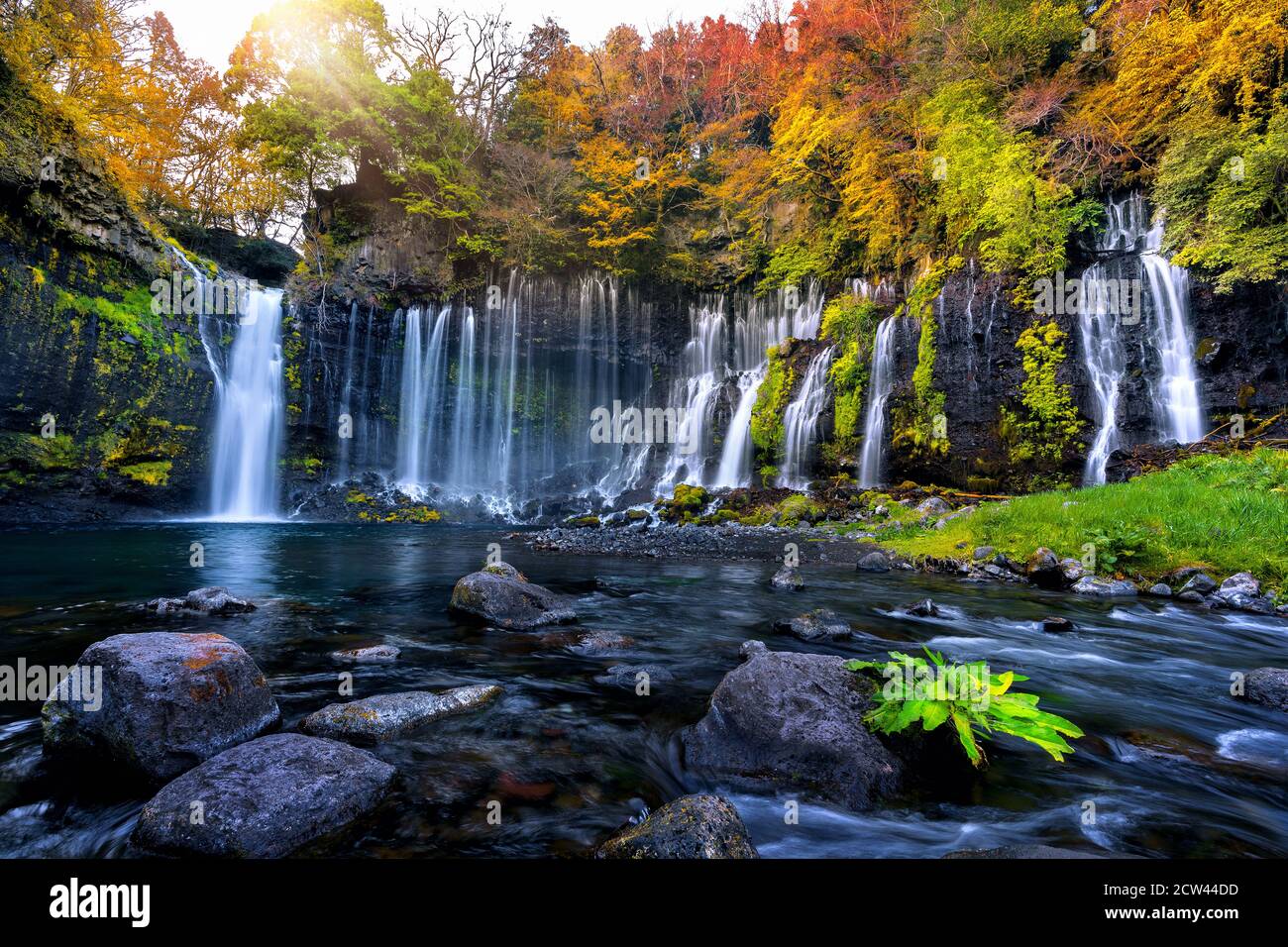 Shiraito Wasserfall im Herbst, Japan. Stockfoto
