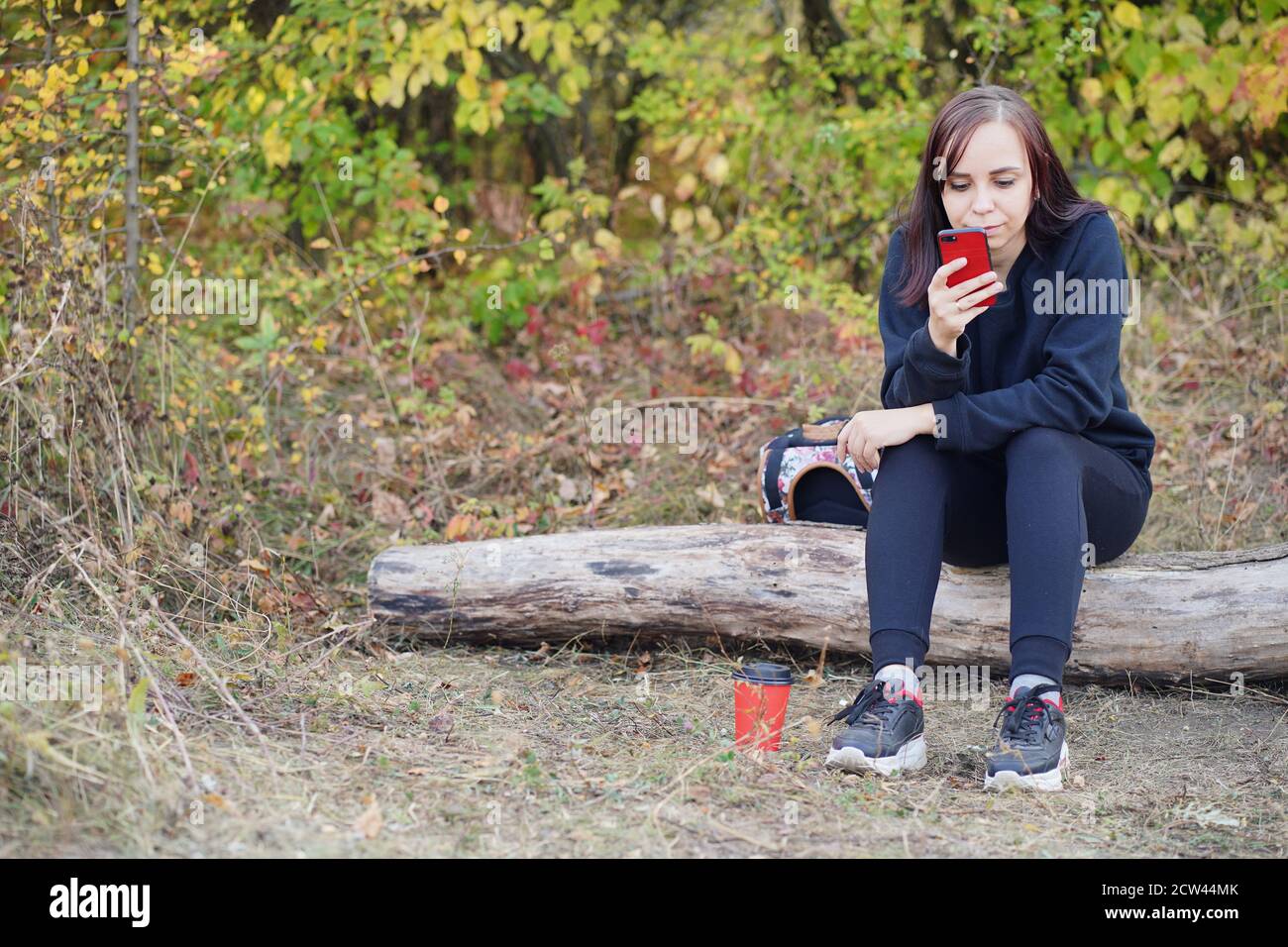 Nahaufnahme einer jungen Frau, die auf dem Log sitzt, das Handy durchstöbert und Kaffee trinkt. Erwachsene Brünette ruht mit Smartphone und Heißgetränk auf Lichtung in Stockfoto