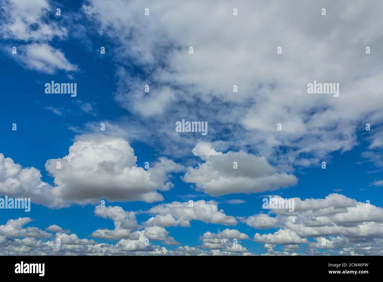Sommer Cumulus Wolken und blauer Himmel. Stockfoto