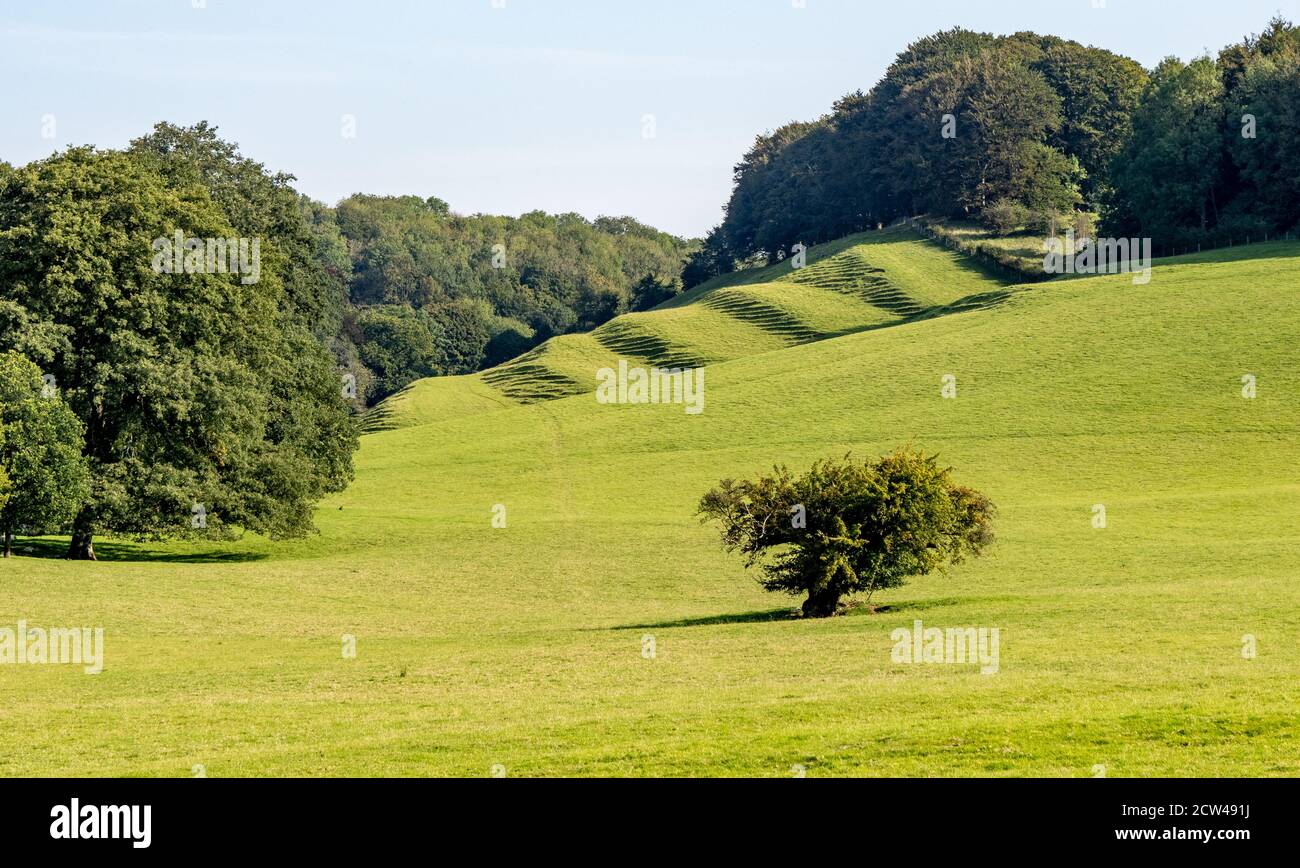 Mittelalterlicher Streifenlynchet auf einem Hügel in Gloucestershire, Großbritannien Stockfoto