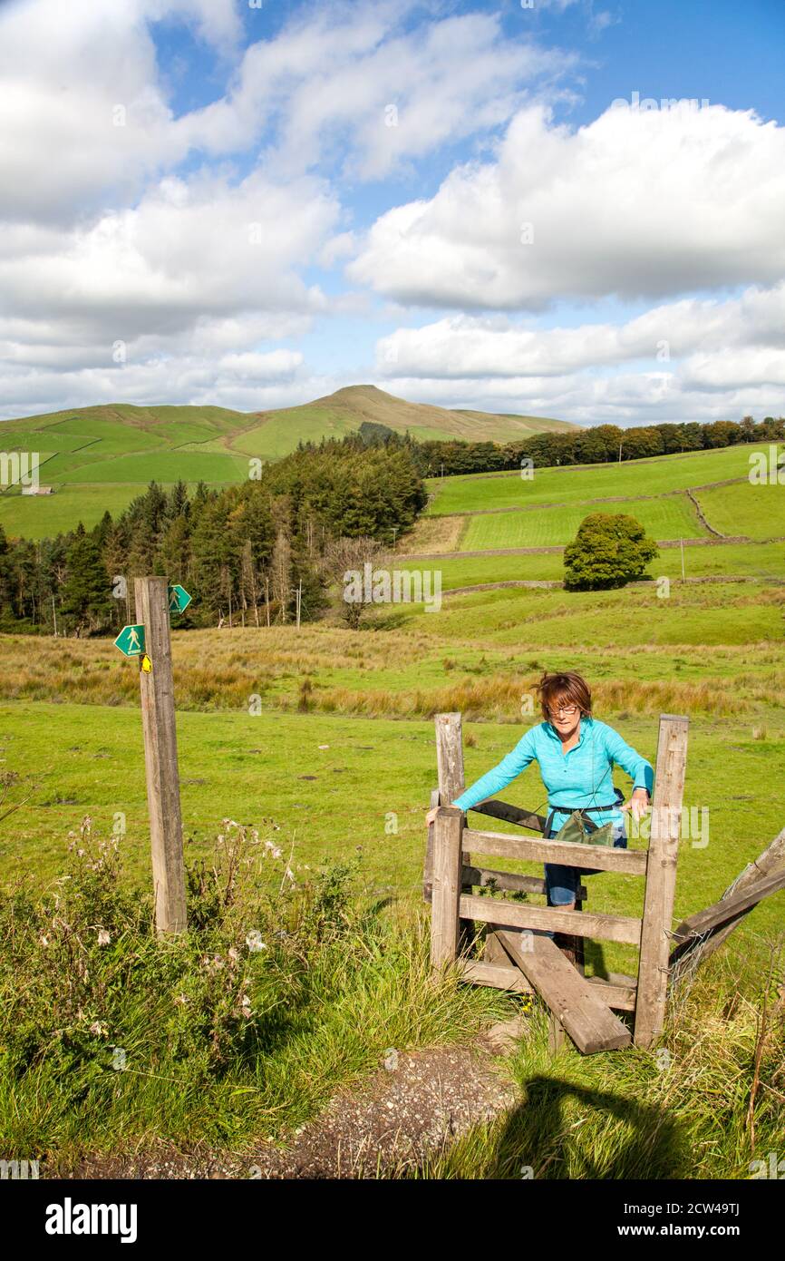 Frau, die im Peak District mit dem Cheshire Mini Mountain spazierengeht Shutlingsloe im Hintergrund Stockfoto