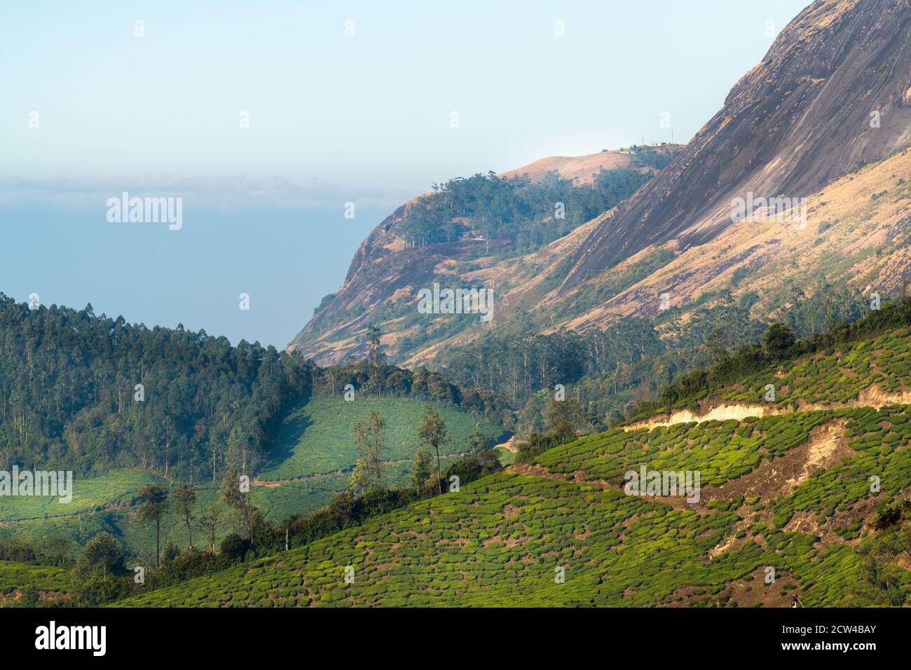 Atemberaubende Aussicht auf die Berge, Täler und Teestandschaften von Munnar in Kerala, Indien. Stockfoto