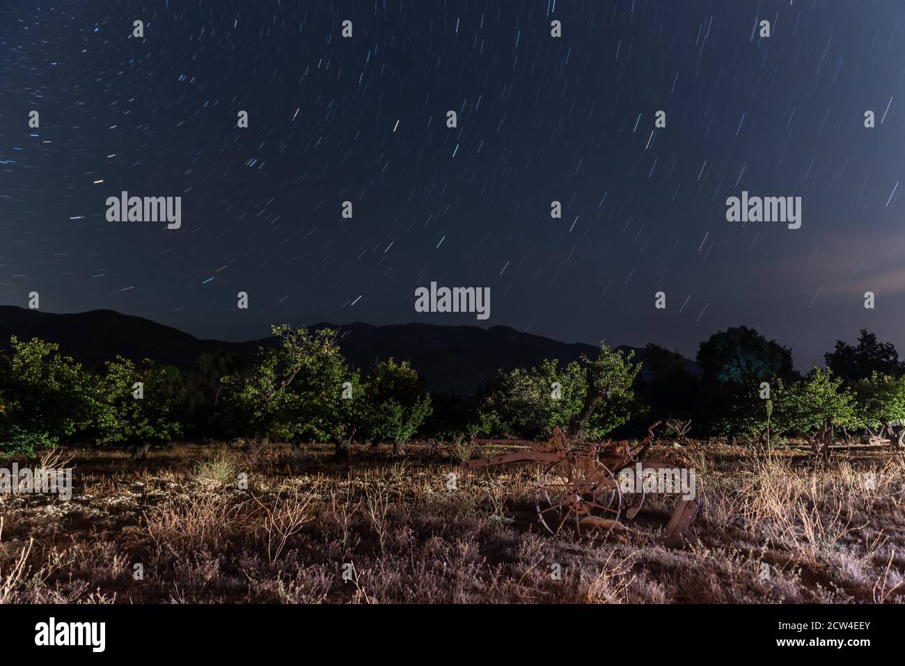 Sternbilder der Astronomie Streifen in kreisförmigen Mustern über den Baumgarten mit Berghorizont im Schatten. Stockfoto