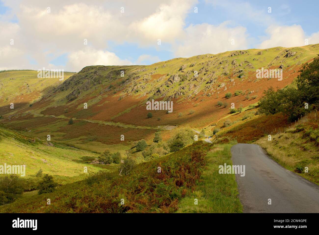 Radfahrer halten für eine Verschnaufpause auf dem National Cycle Trail im Elan River Valley, in der Nähe von Builth Wells, Mid Wales Stockfoto