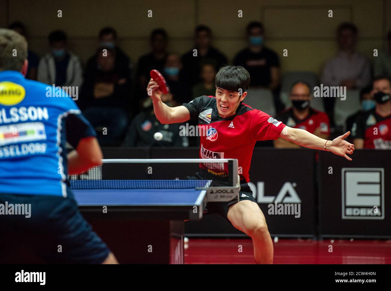 Grünwettersbach, Deutschland. September 2020. Dang Qiu (Grünwettersbach) rechts, gegen Kristian Karlsson (Düsseldorf). GES/Tischtennis Bundesliga: ASV Grünwettersbach - Borussia Düsseldorf, 09/27/2020 Tischtennis Bundesliga: Grünwettersbach vs Duesseldorf, Grünwettersbach, 27. September 2020 Nutzung weltweit Credit: dpa/Alamy Live News Stockfoto