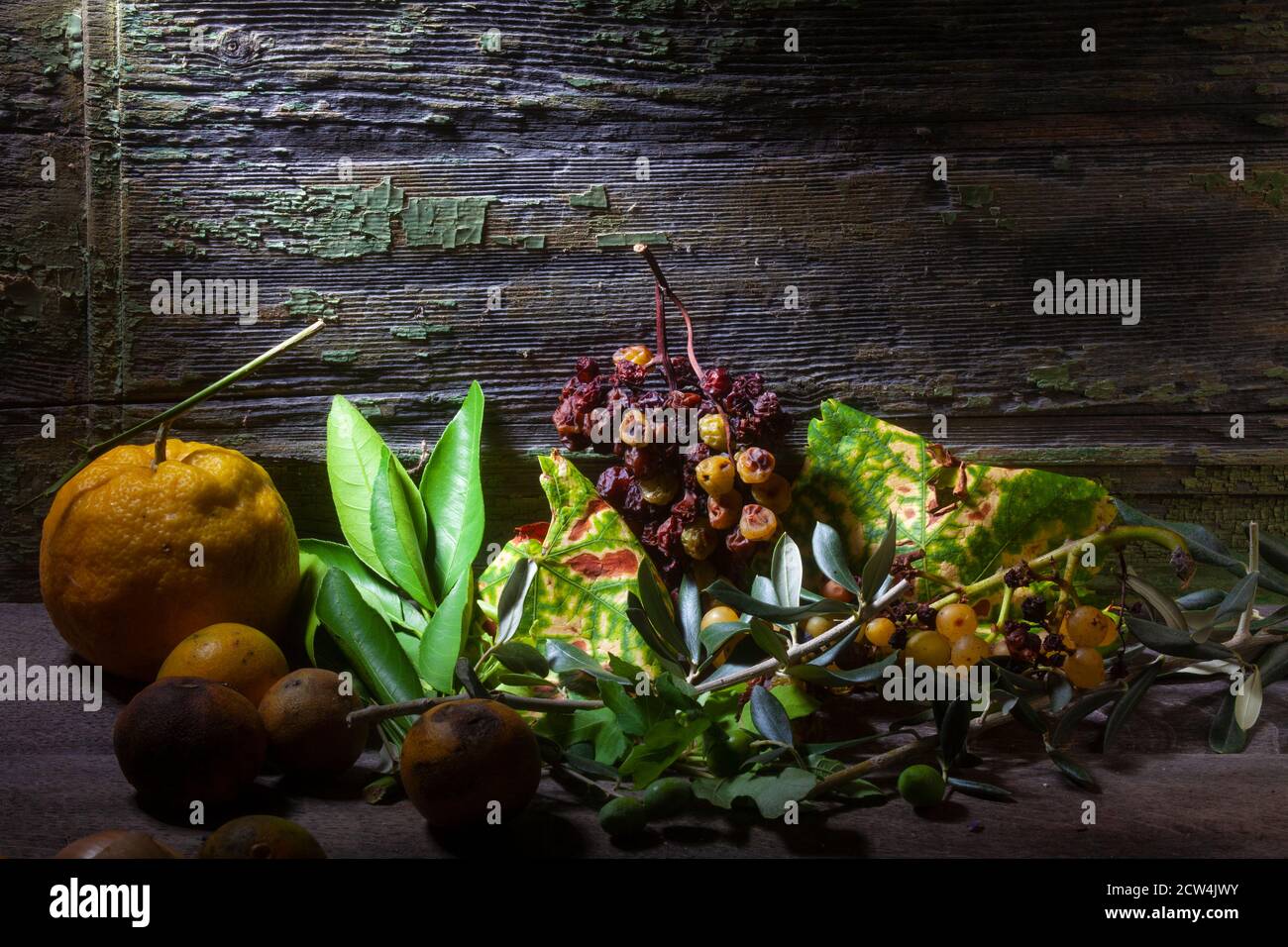 Stillleben Foto von verfallenen Früchten und frischen Blättern Stockfoto