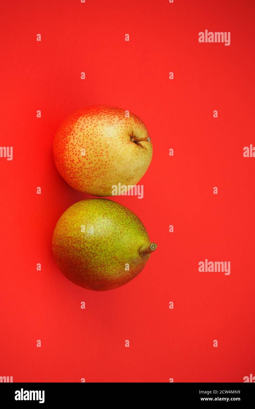 Reife Früchte auf rotem Hintergrund. Schöne Birnen und Äpfel, Vertikales Bild. Stockfoto