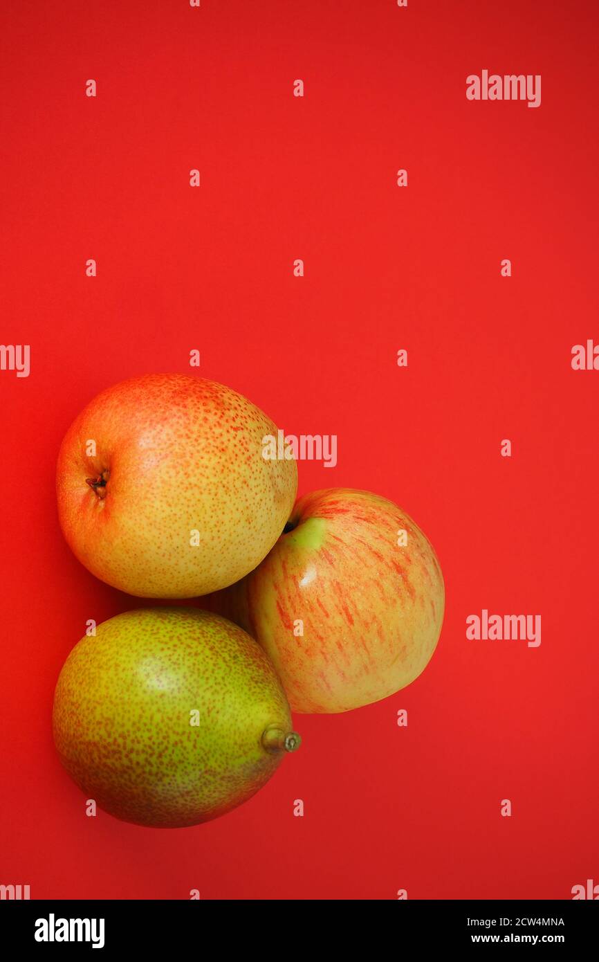 Reife Früchte auf rotem Hintergrund. Schöne Birnen und Äpfel, Vertikales Bild. Stockfoto