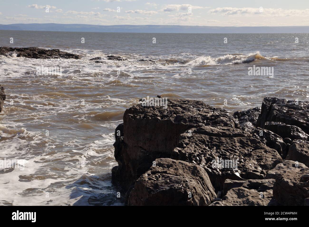 Turnstone/s auf einem Felsen mit Wellen, die in die Seite des Felsens krachen, stehen die Turnstones weg vom Spray der einfallenden Wellen. Stockfoto