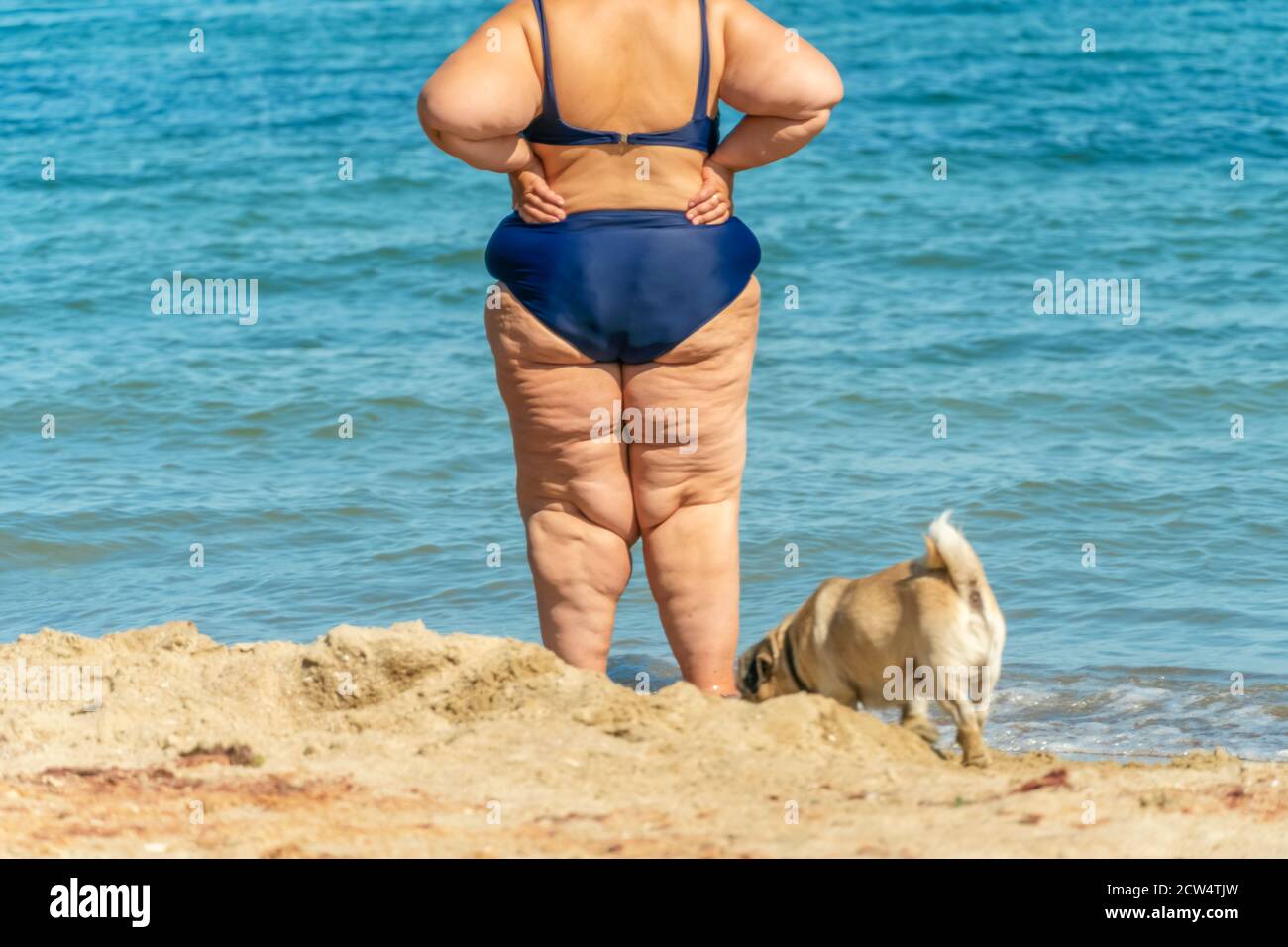 Eine dicke Frau im Badeanzug steht mit einem Hundeschwein am Strand und  blickt in die Ferne des Meeres. Nicht erkennbare Person. Foto von hinten  Stockfotografie - Alamy