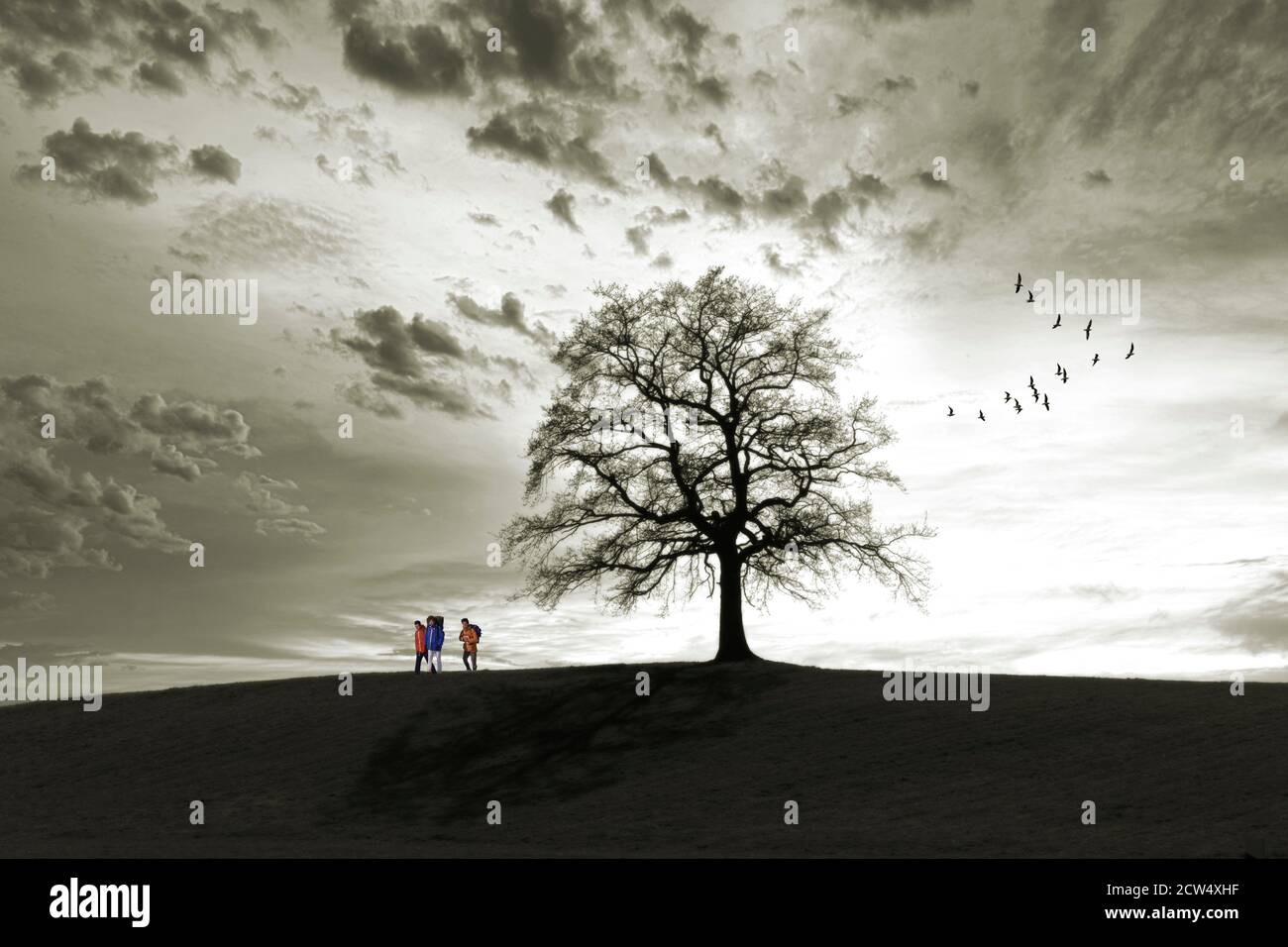 FOTOKUNST: Wanderer, die an einer einen Eiche bei Wolfratshausen, Oberbayern, Deutschland, vorbeikommen Stockfoto