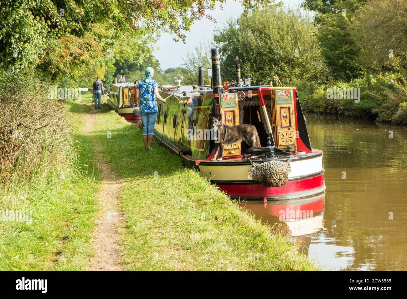 Kanalschromper auf dem Llangollen Zweig der Shropshire Union kanal außerhalb Whitchurch Shropshire Teil des Sandstein Trail Fußweg Stockfoto