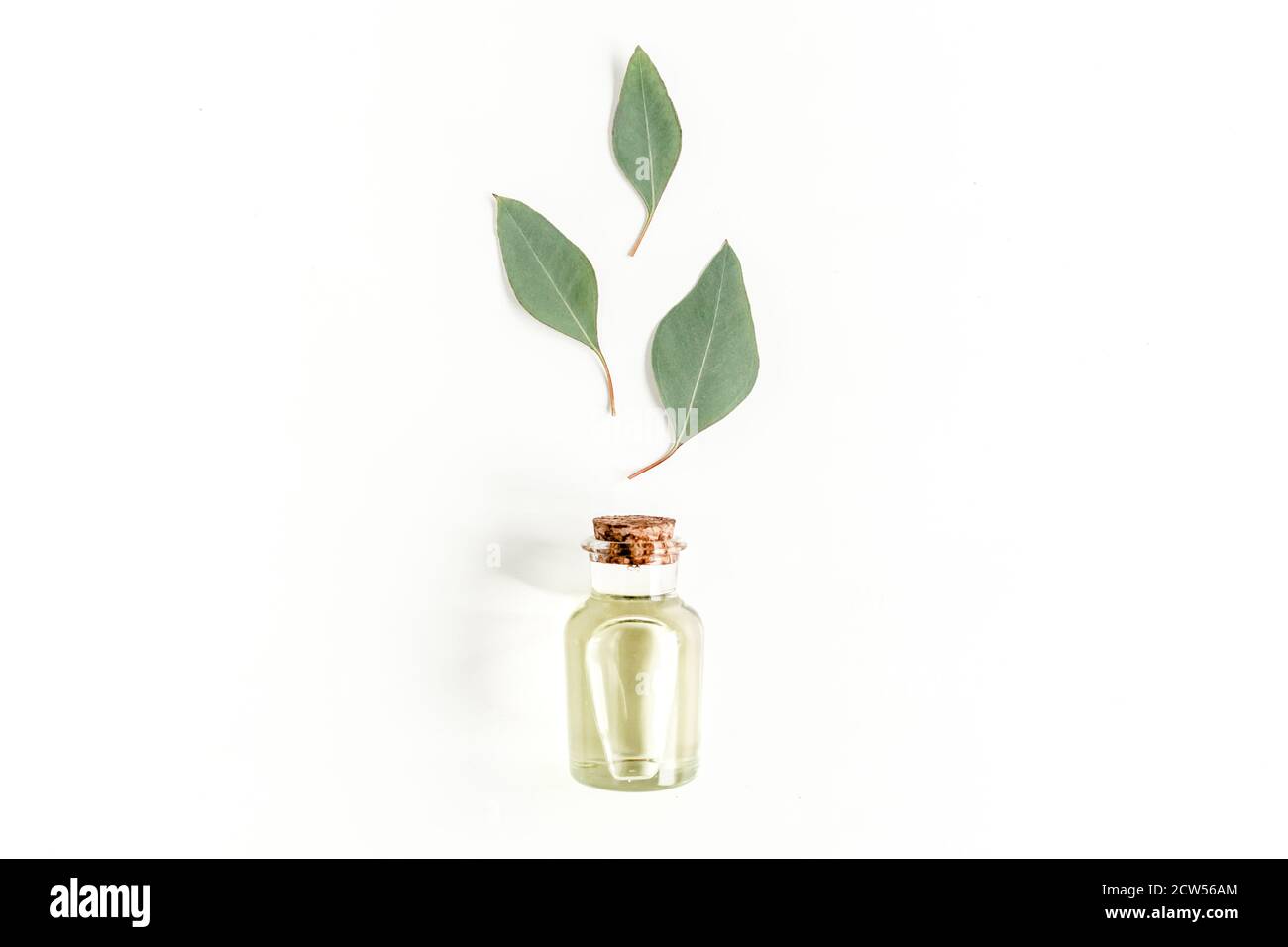Flasche ätherisches Eukalyptus-Öl, Eukalyptusblätter auf weißem Hintergrund. Natürliche Bio-Kosmetikprodukte. Flach liegend, Draufsicht. Stockfoto
