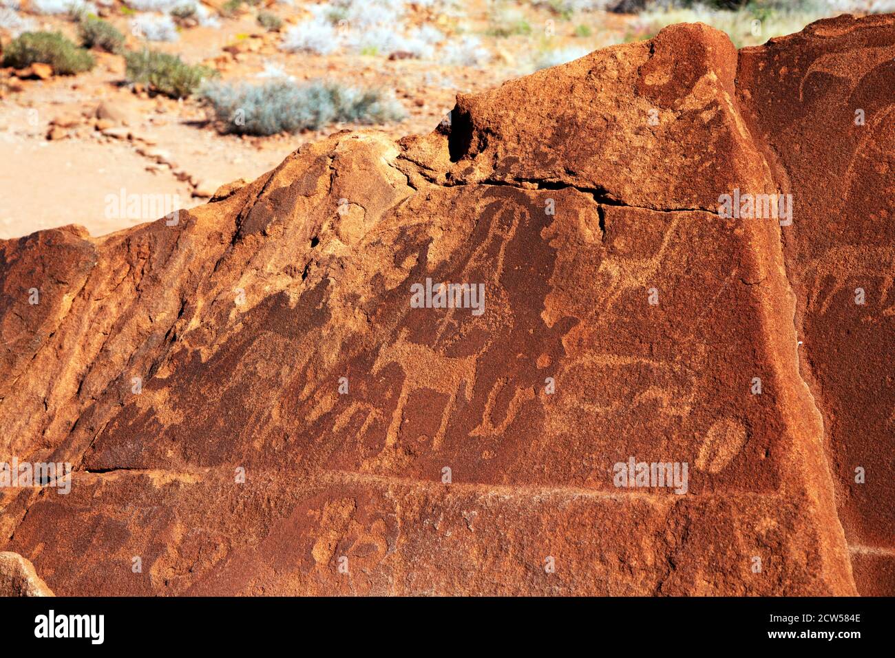 Prähistorische Felsgravuren von Tieren schmücken eine Sandsteinplatte in Twyfelfontein, Namibia. Die Stiche sind vermutlich bis zu 6000 Jahre alt. Stockfoto