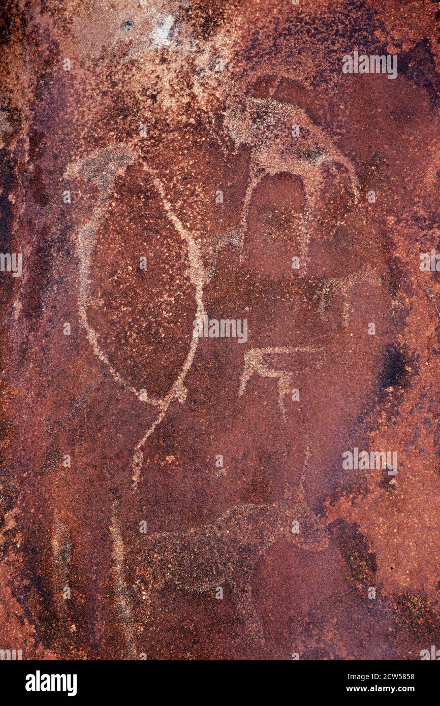 Prähistorische Felsgravuren von Tieren schmücken eine Sandsteinplatte in Twyfelfontein, Namibia. Die Stiche sind vermutlich bis zu 6000 Jahre alt. Stockfoto