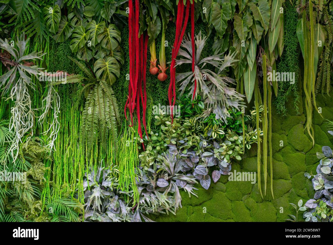 Hintergrund von grünen Pflanzen aus Kunststoff. Künstliche dekorative Textur. Stockfoto