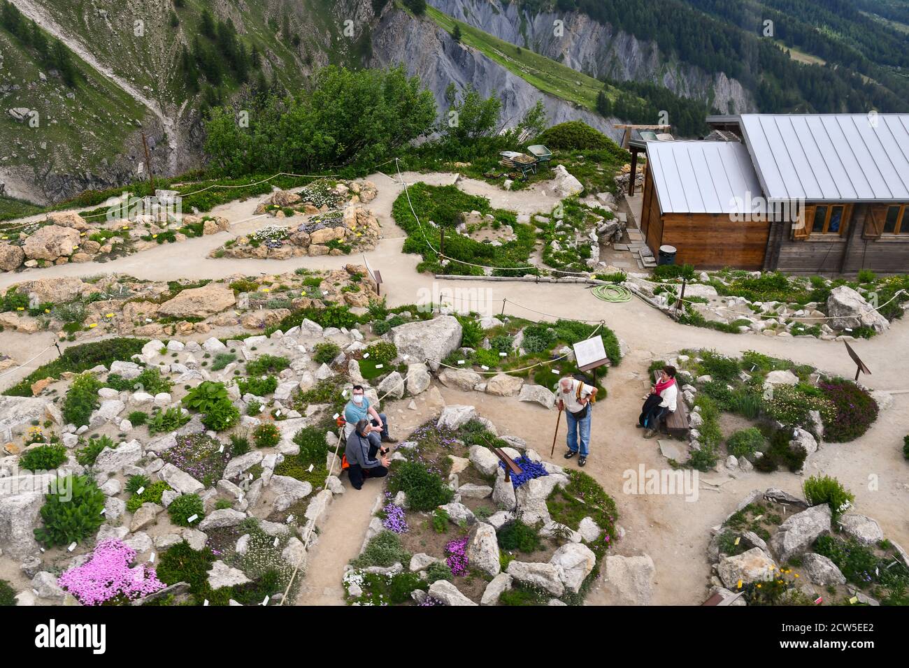 Erhöhter Blick auf den Alpinen Botanischen Garten Saussurea (2173 m), einen der höchsten Naturgärten der Welt, auf einem Bergrücken des Mont Blanc, Courmayeur, Italien Stockfoto