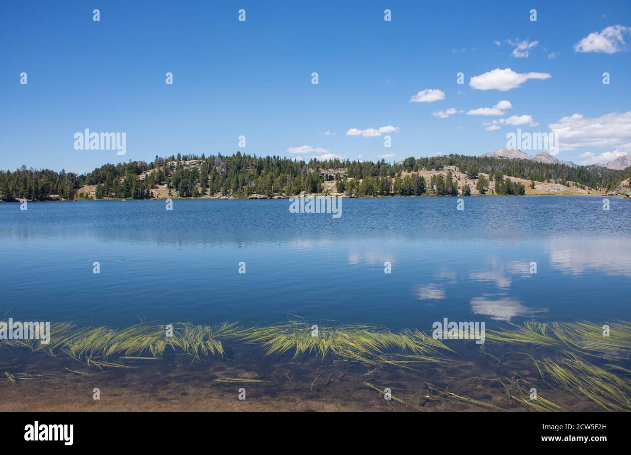 Schöne Aussicht in der Wind River Range, Wyoming, USA Stockfoto