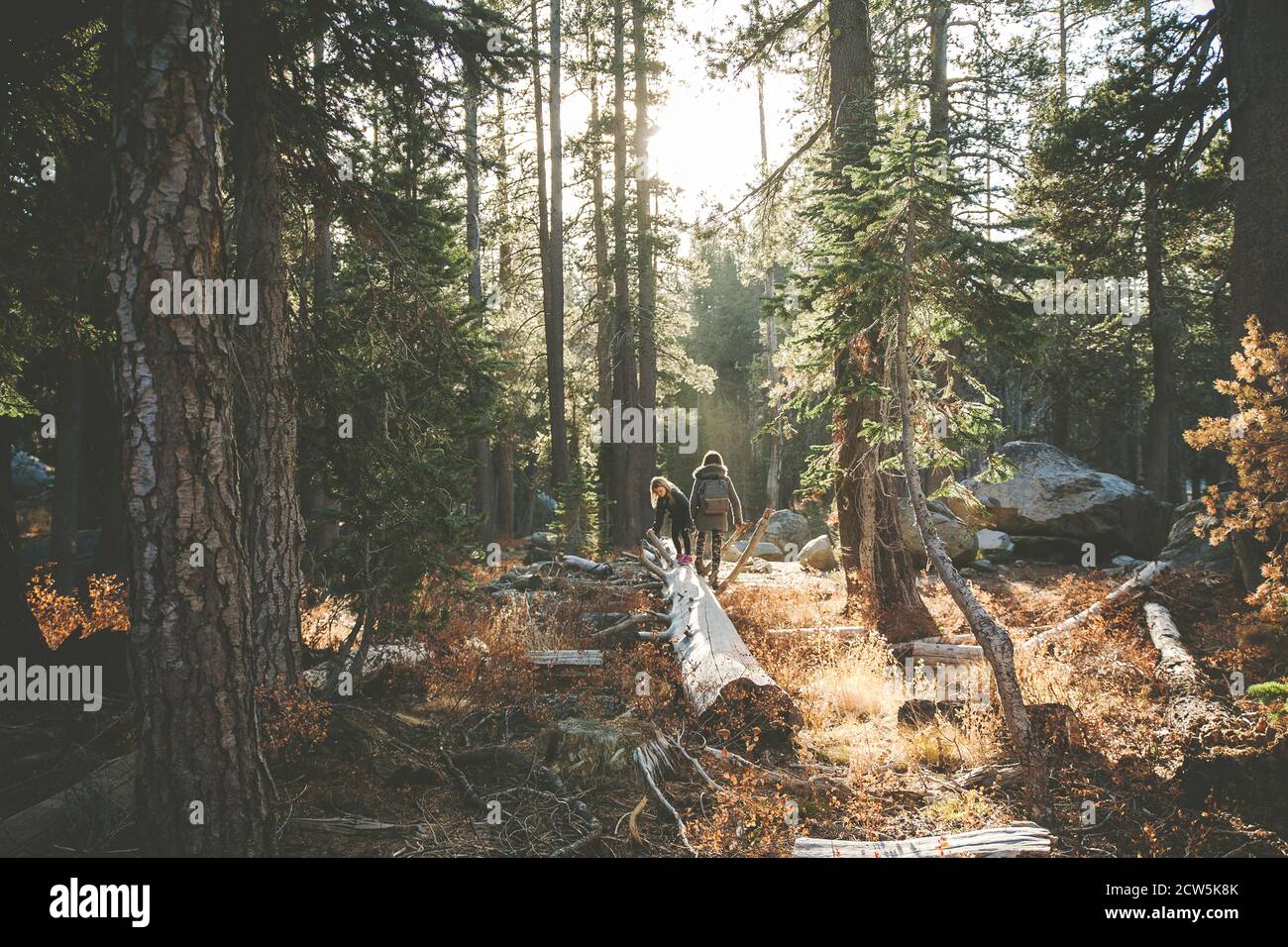 Kinder wandern im Wald bei Sonnenuntergang Stockfoto