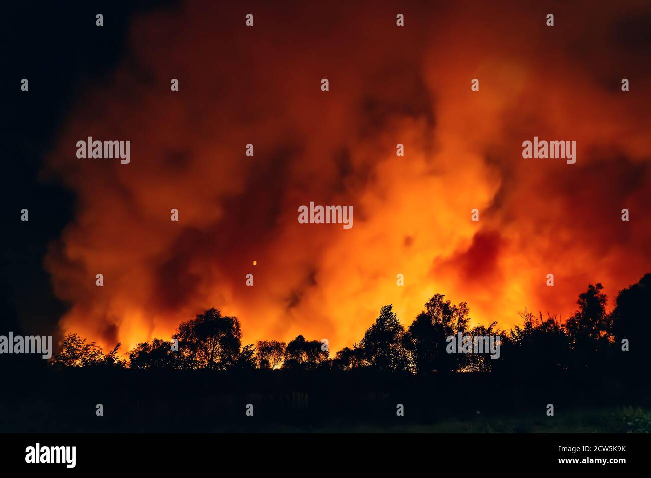 Waldbrand in der Nacht, Waldbrand nach der trockenen Sommersaison, brennende Natur in Russland, Woronesch Region. Stockfoto